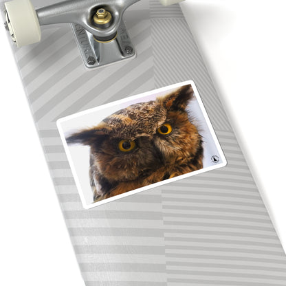 Great Horned Owl Kiss-Cut Sticker — Realistic Owl Laptop & Water Bottle Decal
