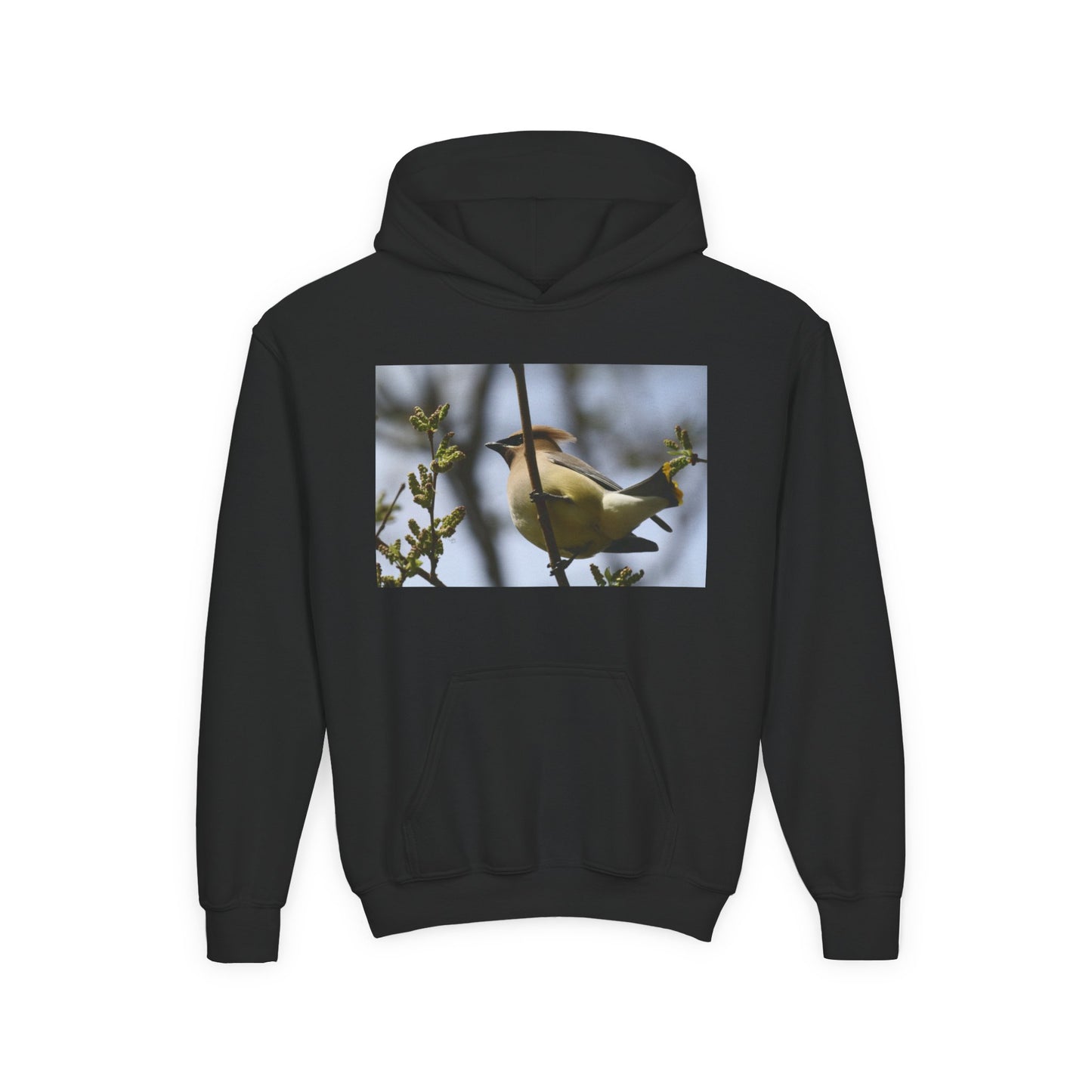 Cedar Waxwing Bird Hoodie | Youth Hooded Sweatshirt