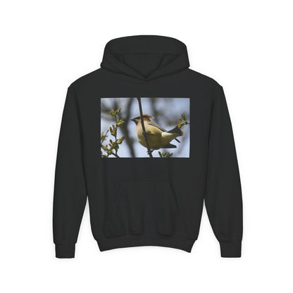 Cedar Waxwing Bird Hoodie | Youth Hooded Sweatshirt