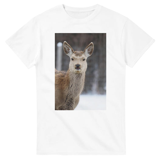 622dbefb-bb1f-4795-968b-ec5882c5f4c4