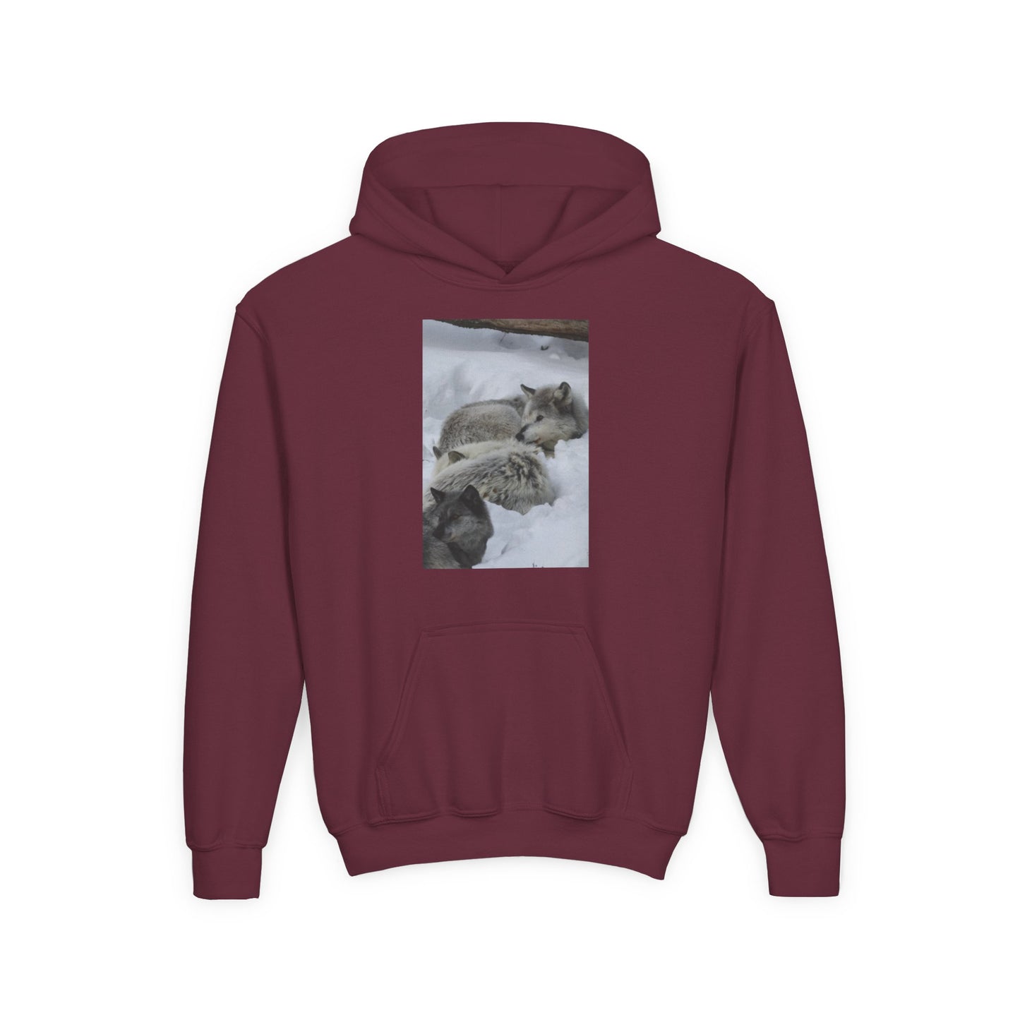 Sleeping Foxes Youth Hoodie | Wildlife Photography, Snow Scene