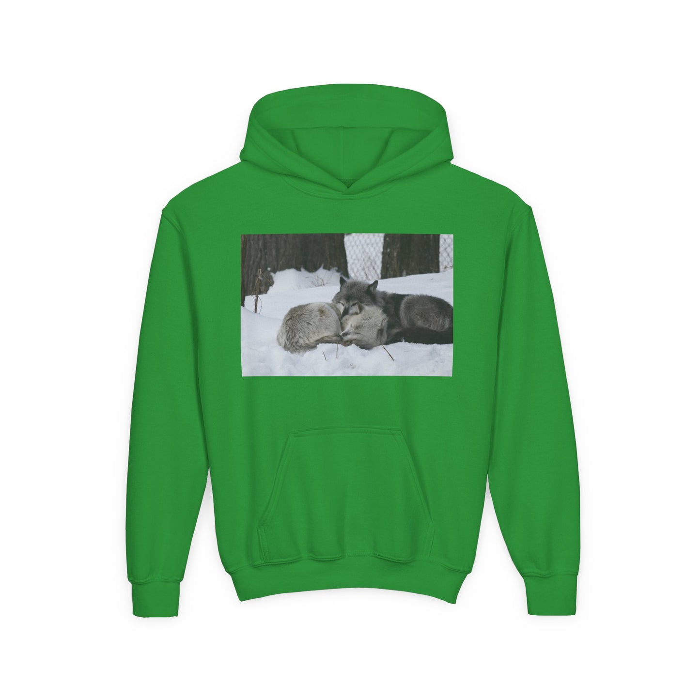 Youth Heavy Blend Hooded Sweatshirt