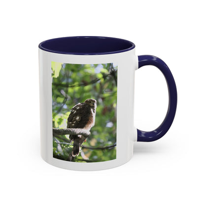 Hawk Perch Accent Coffee Mug (11/15 oz) – Nature Bird Photography