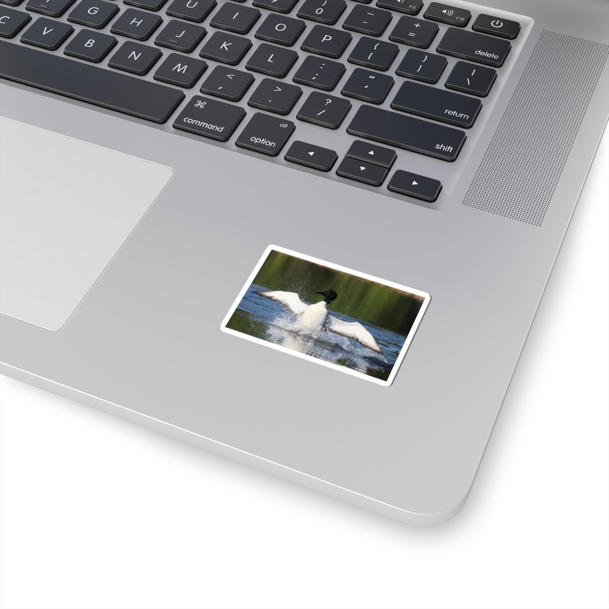 Common Loon Kiss-Cut Sticker — Splashing Loon Lake Scene