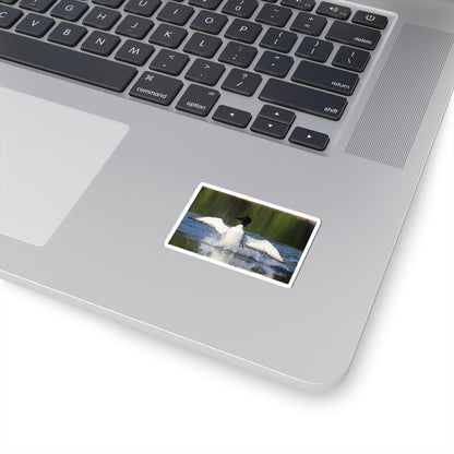 Common Loon Kiss-Cut Sticker — Splashing Loon Lake Scene