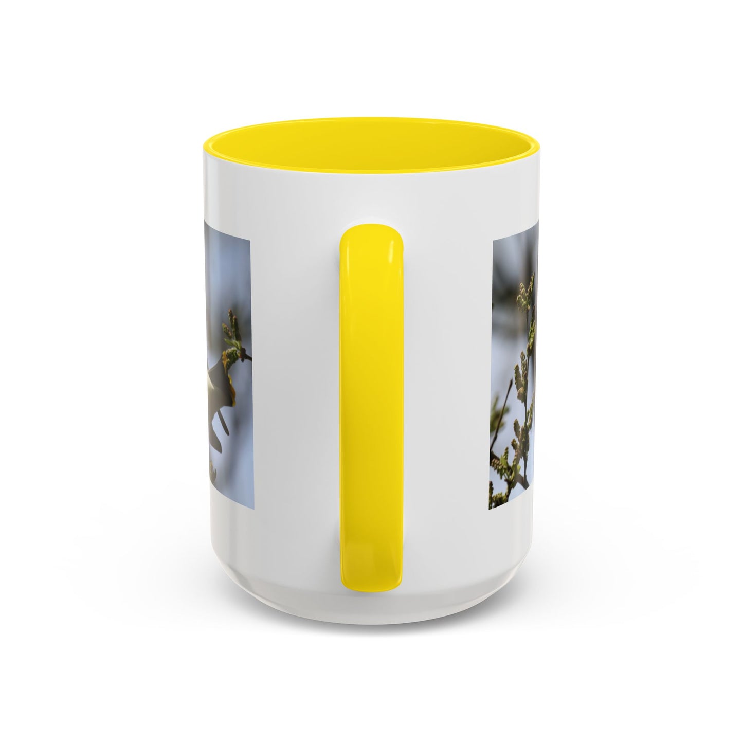 Cedar Waxwing Bird Photo Accent Coffee Mug