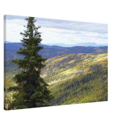 62c41665-6e2f-4b82-9cdb-a1e112e2c8f4