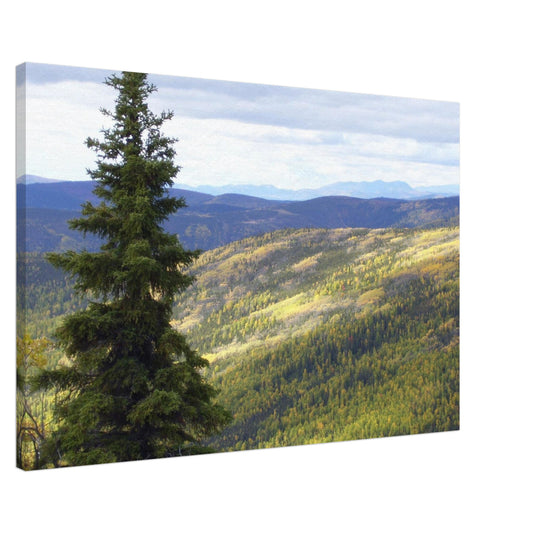 62c41665-6e2f-4b82-9cdb-a1e112e2c8f4