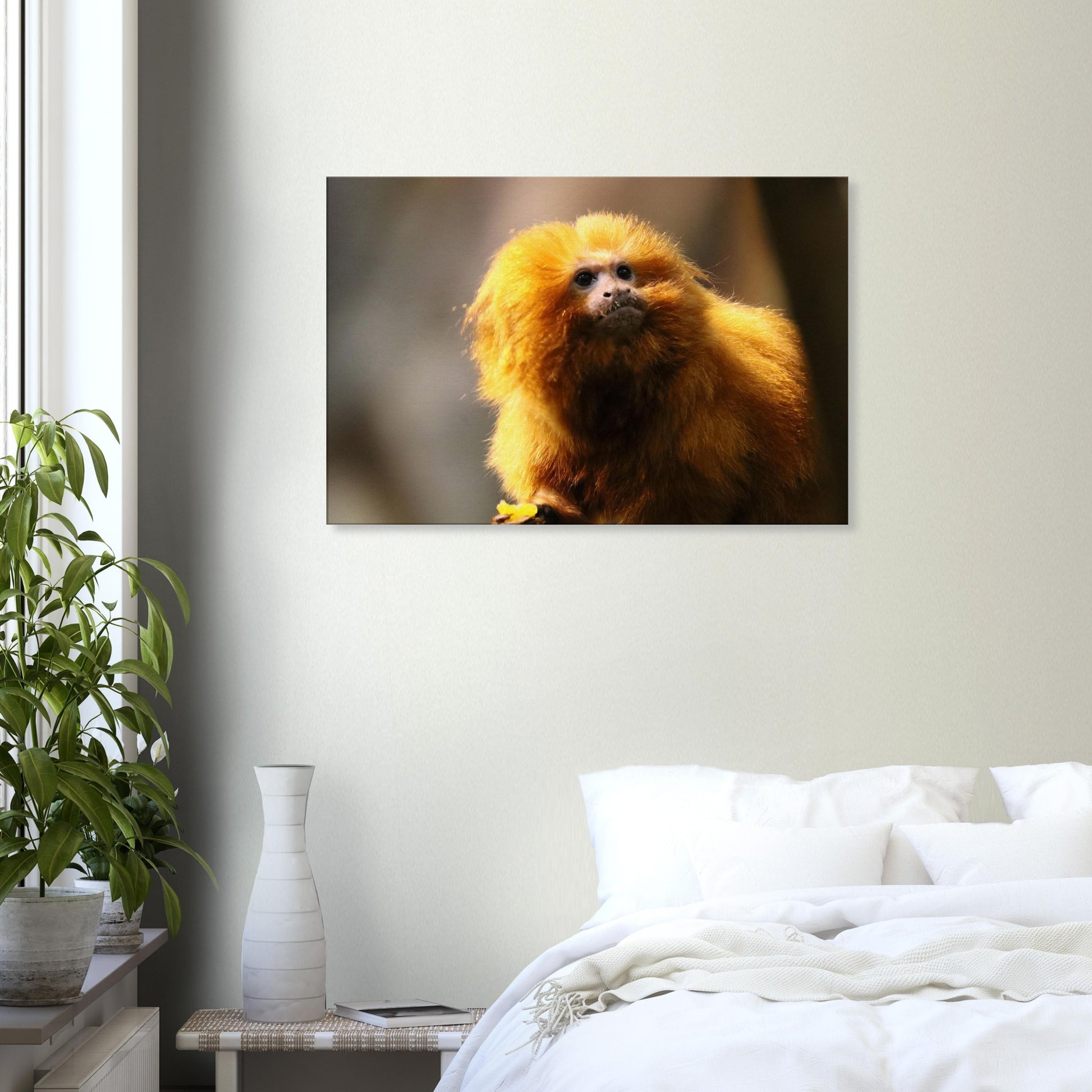 62c527eb-ac5a-4621-bb7a-a63b08b2c62b