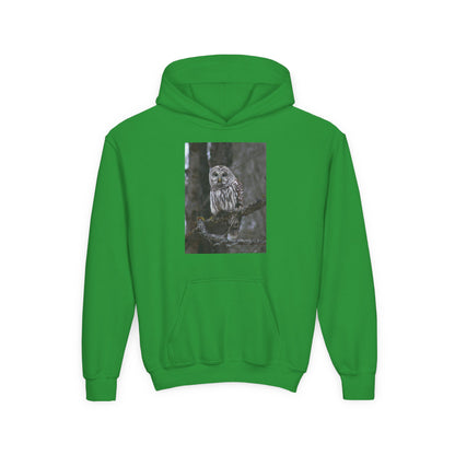 Owl Portrait Youth Hoodie — Realistic Forest Owl Graphic