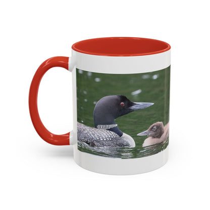 Loon Family Accent Coffee Mug – Wildlife Photo Tea Mug (11/15 oz)