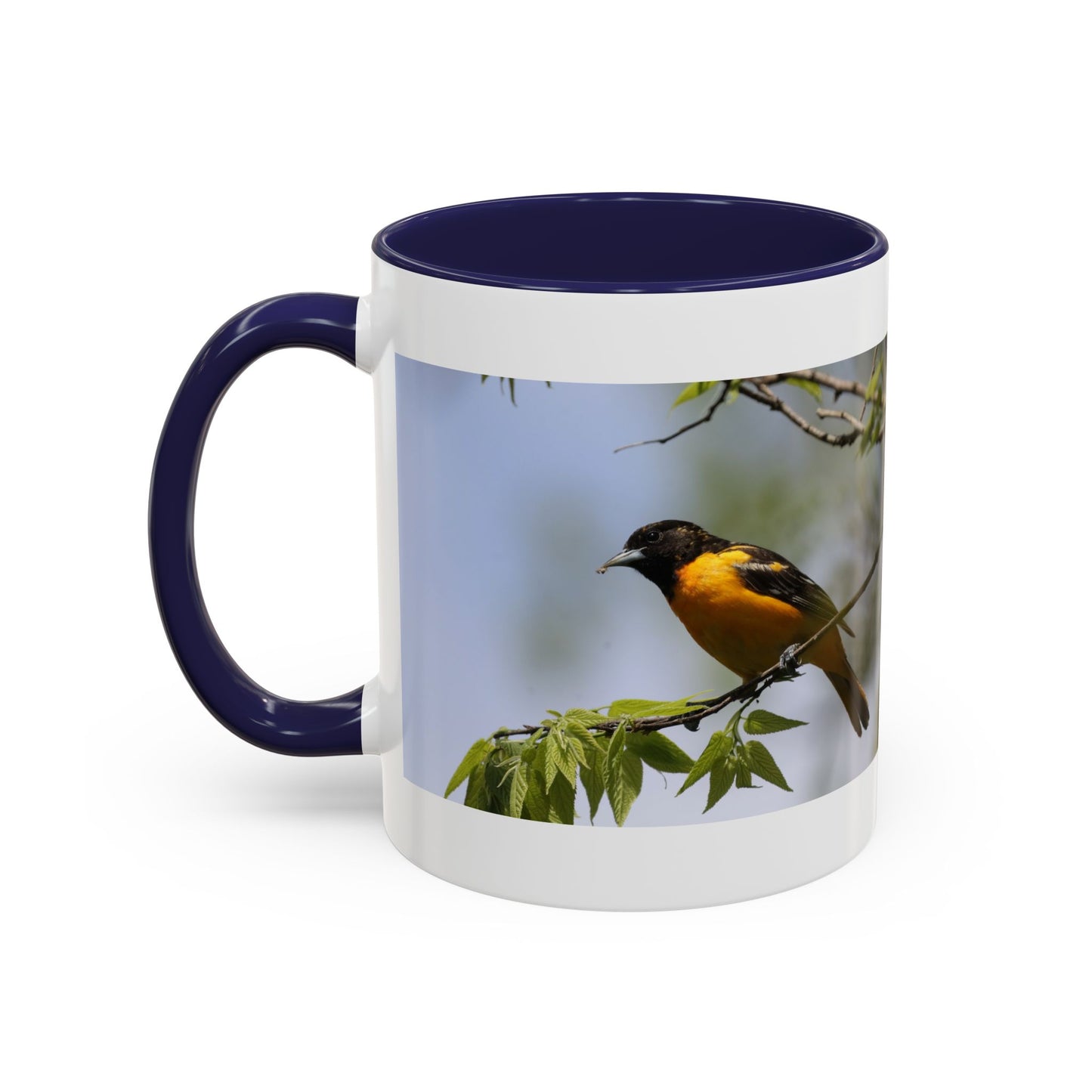 Baltimore Oriole Coffee Mug — Birdwatching Accent Mug (11/15oz)