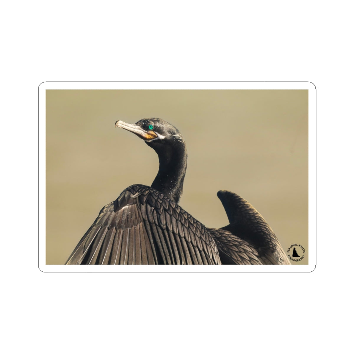 Cormorant Photo Sticker — Wildlife Kiss-Cut Vinyl Sticker