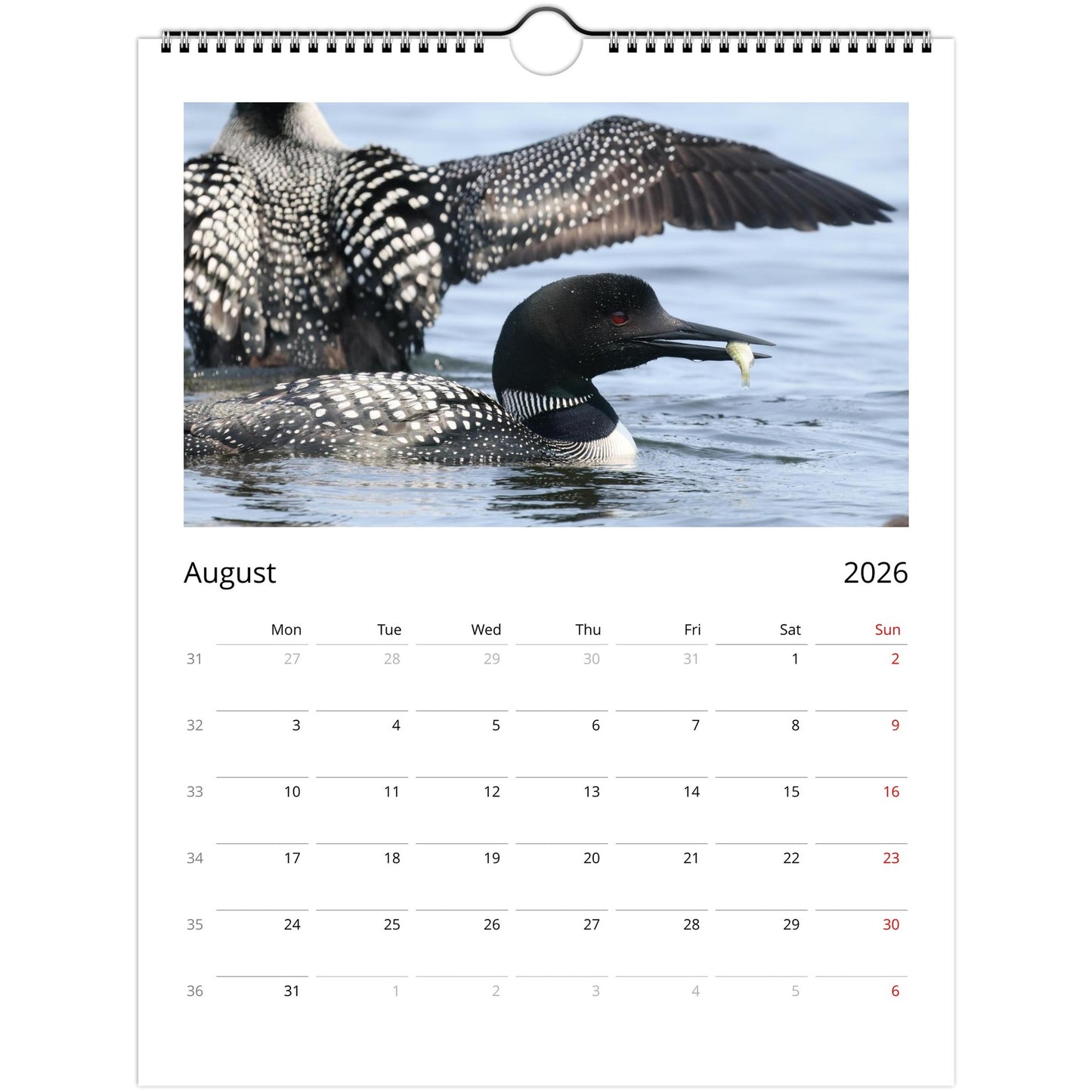 637d31e1-d576-49ef-853c-7188fbffec16