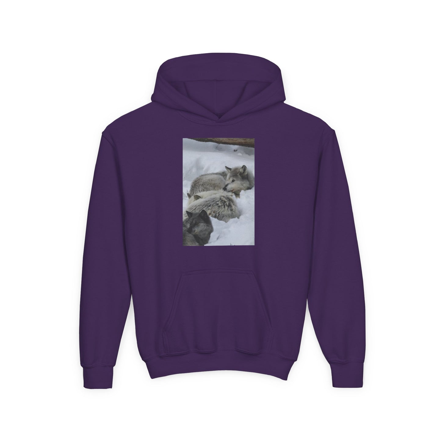 Sleeping Foxes Youth Hoodie | Wildlife Photography, Snow Scene
