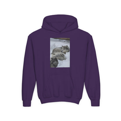 Sleeping Foxes Youth Hoodie | Wildlife Photography, Snow Scene