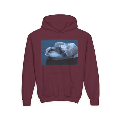 Youth Hoodie with Sleeping Swan Photo — Cozy Wildlife Sweatshirt