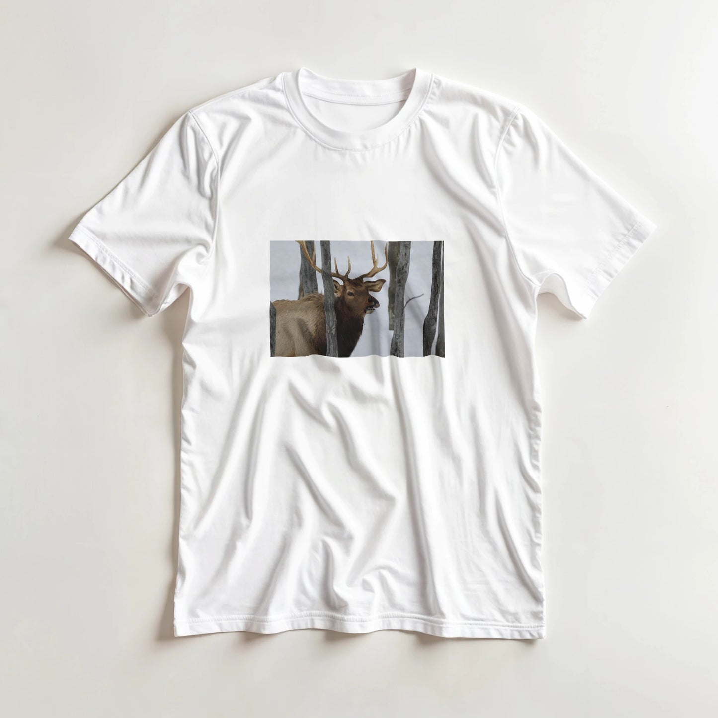 63a99e0f-b2ed-4671-ba35-0c3b584e29fe