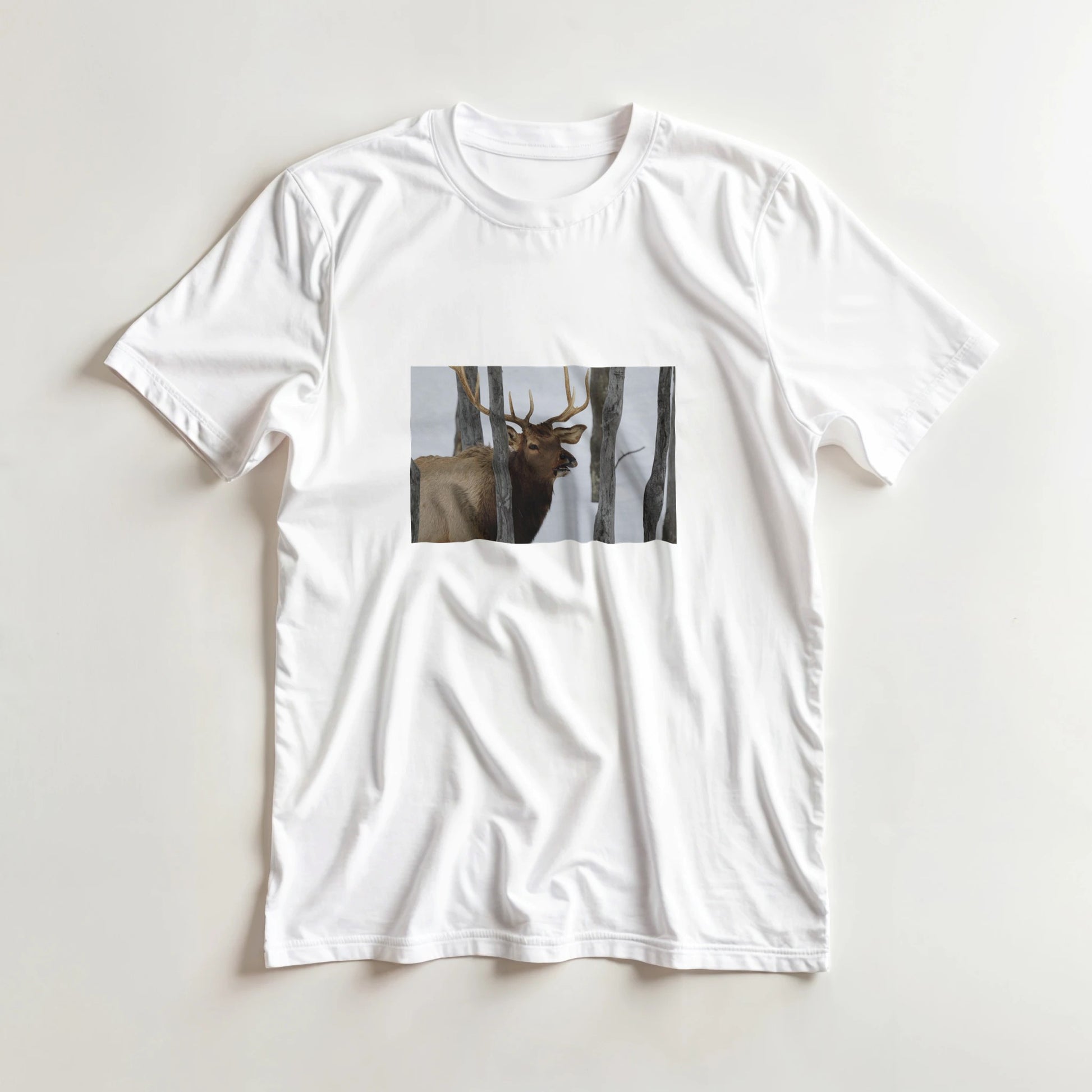 63a99e0f-b2ed-4671-ba35-0c3b584e29fe