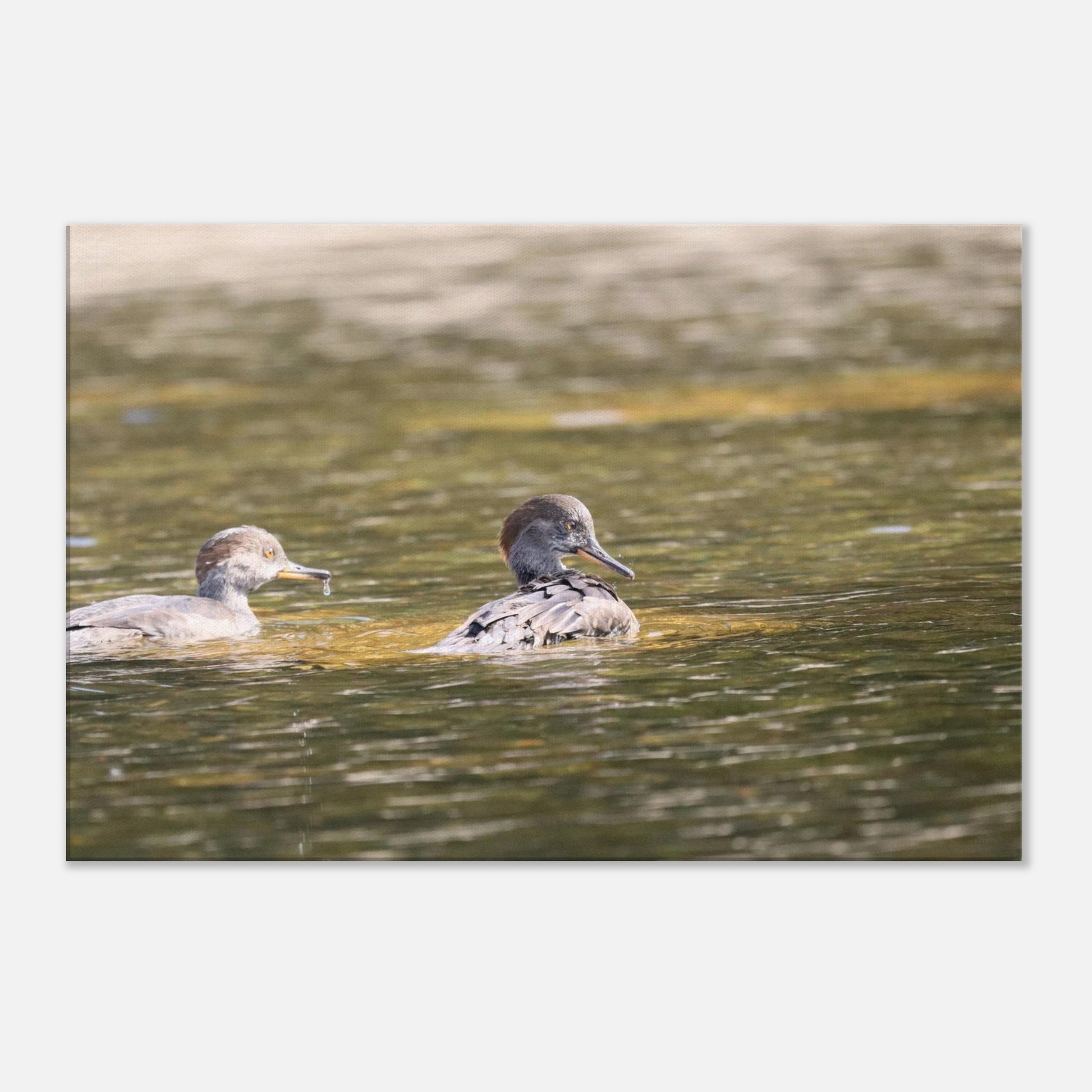 63db2ec9-0731-4ed3-8d06-4a20f4f60ce5