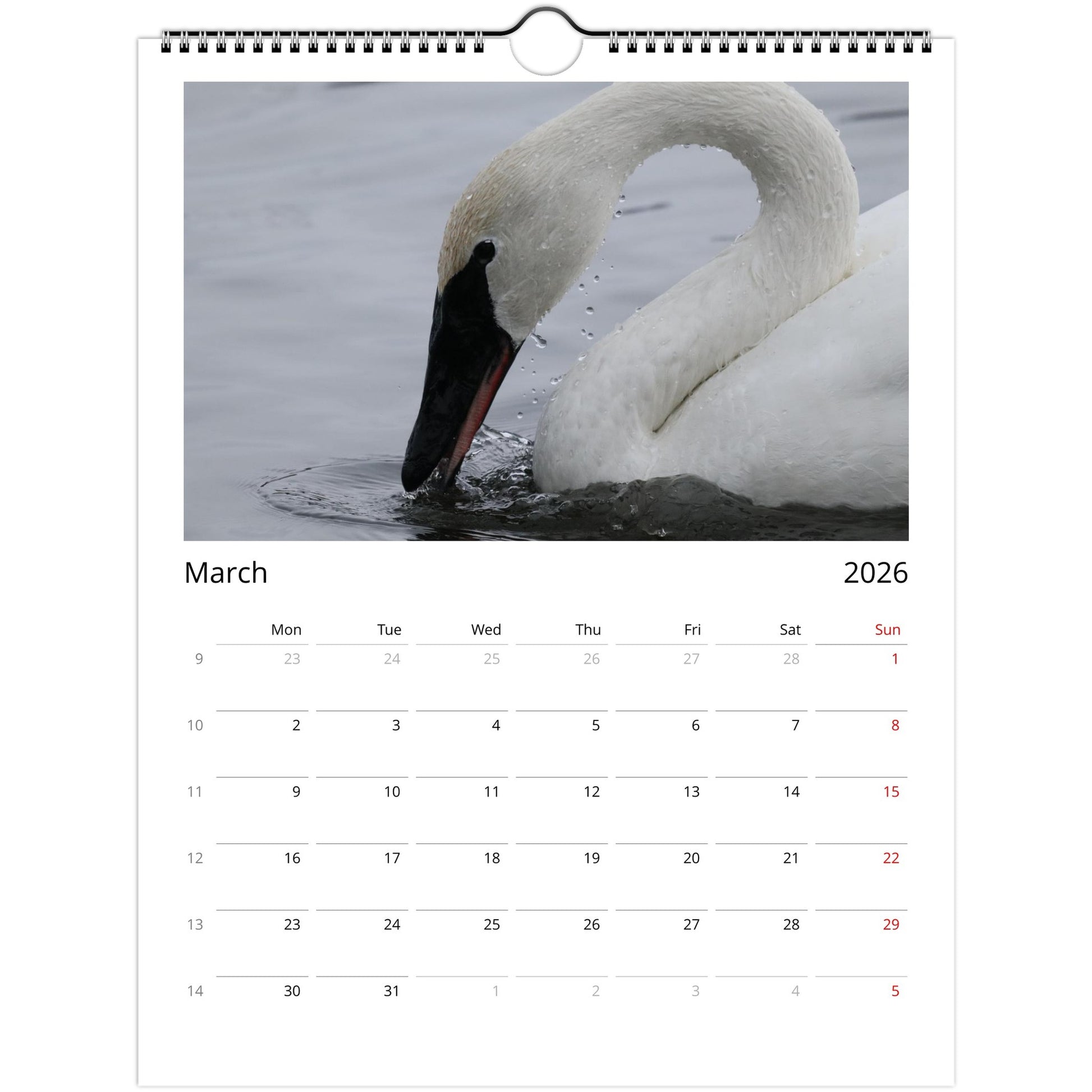 63dc2add-7552-4d95-9015-30e6af4b7088