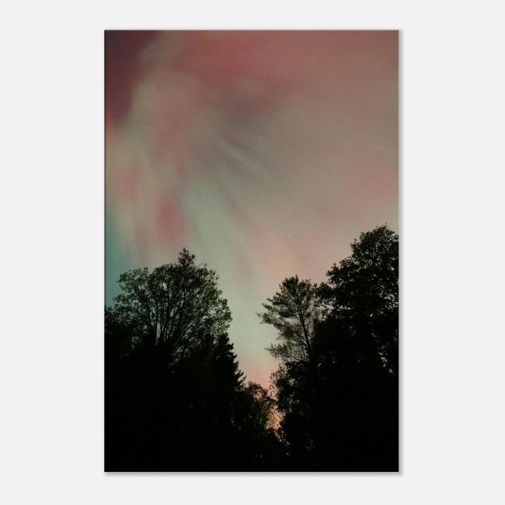 63dc4bc9-90f0-4366-8d10-ee4fc48c2269
