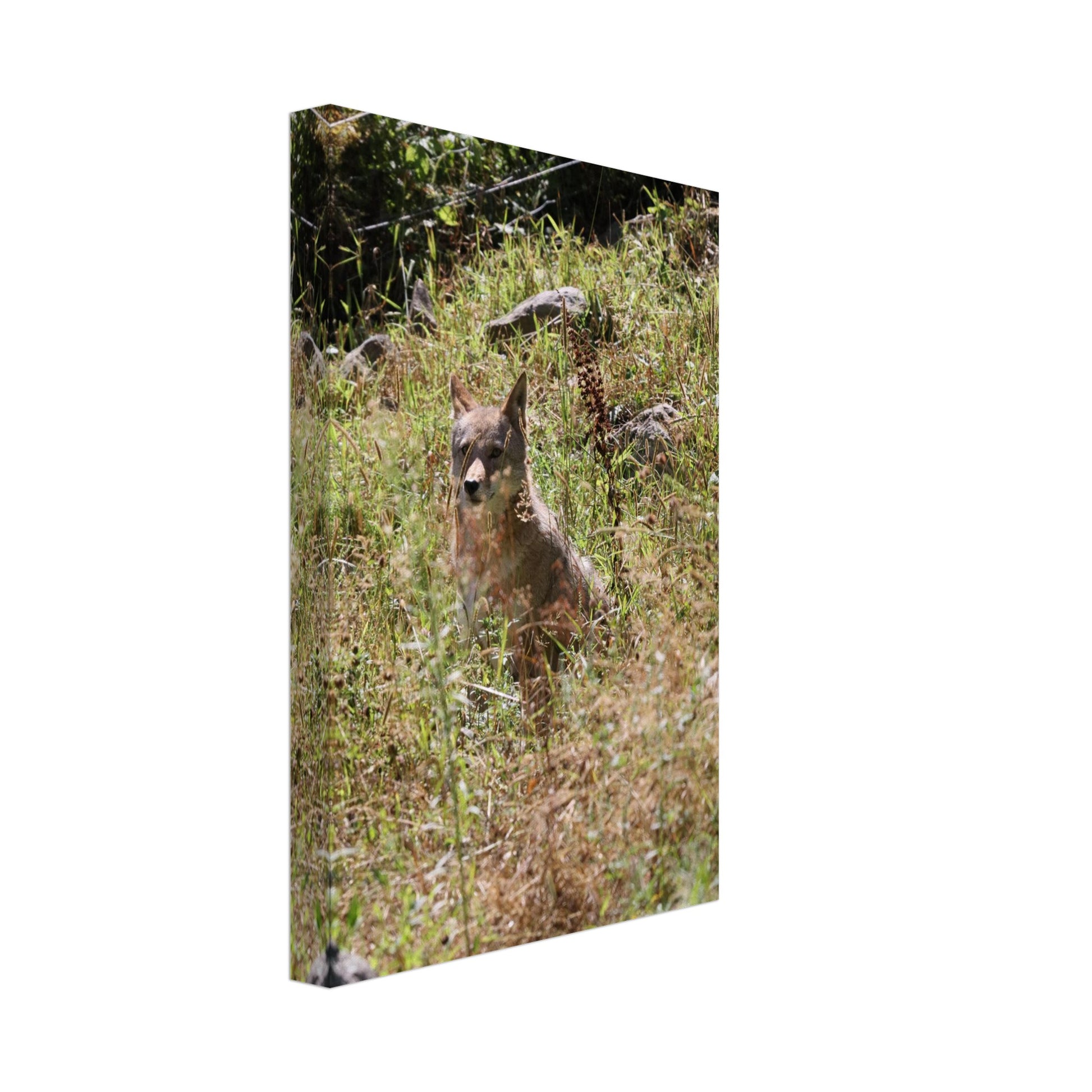 63dfba3d-4574-44f6-8103-0f9e7bf47d73