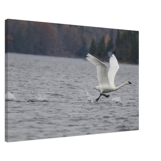 63f408d9-59fc-4d80-bb97-c4196a97d558