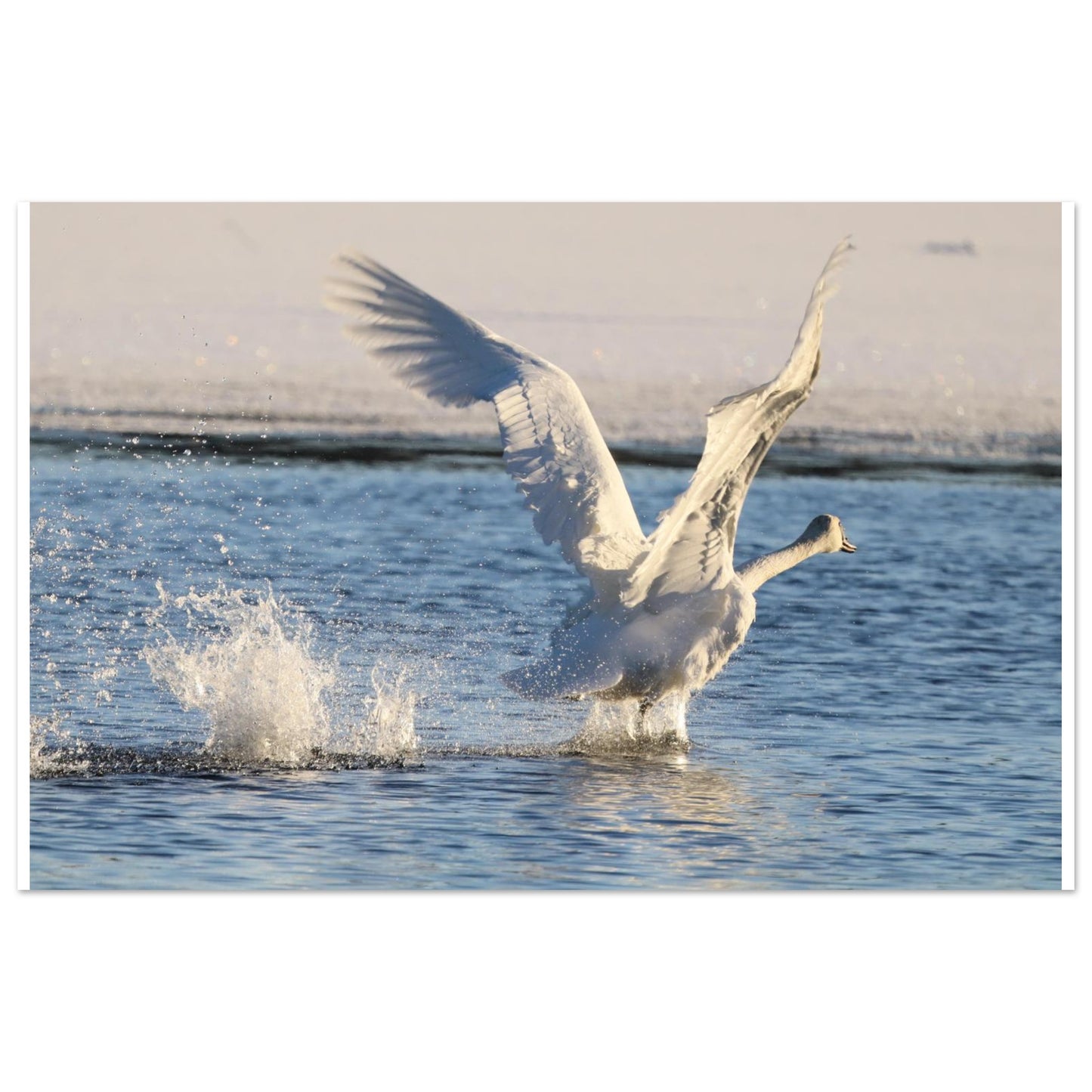 6418106e-21f1-49d9-a706-b9fc7c92d223