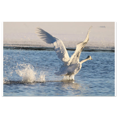 6418106e-21f1-49d9-a706-b9fc7c92d223