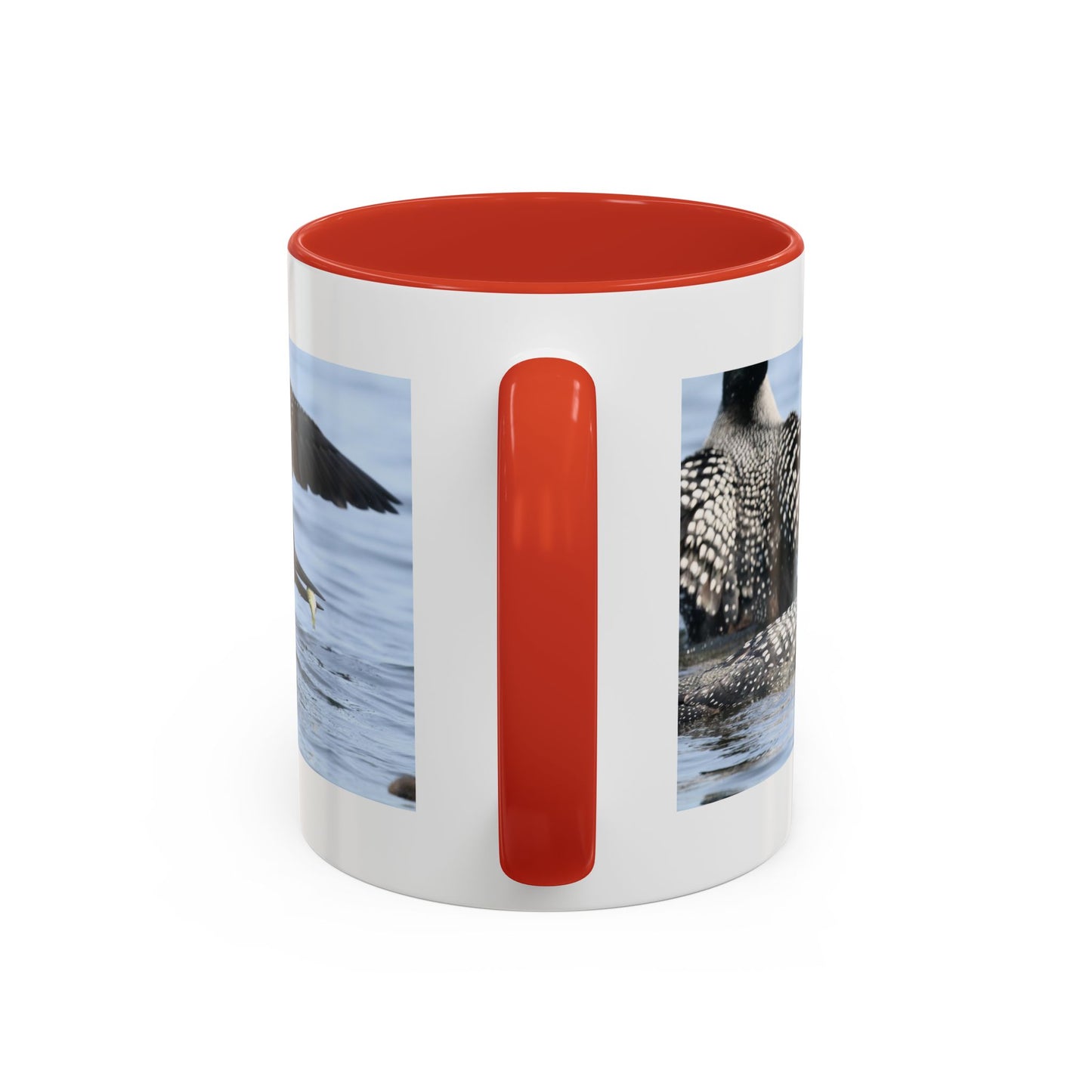 Common Loon Accent Coffee Mug – Wildlife Photography Bird Lover Gift (11/15oz)