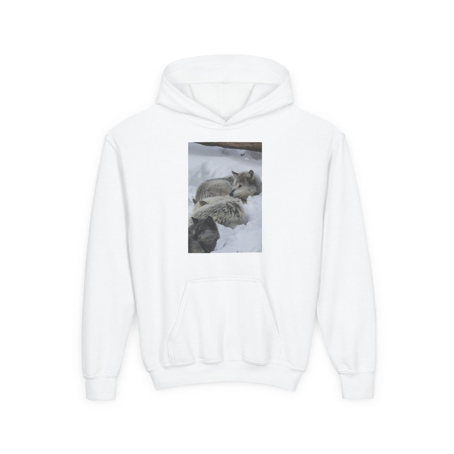 Sleeping Foxes Youth Hoodie | Wildlife Photography, Snow Scene