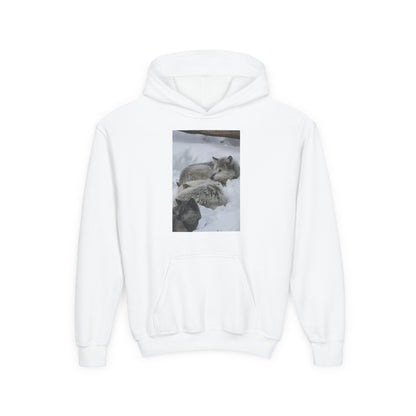 Sleeping Foxes Youth Hoodie | Wildlife Photography, Snow Scene