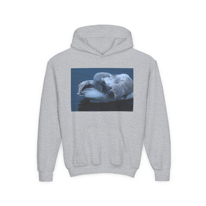 Youth Hoodie with Sleeping Swan Photo — Cozy Wildlife Sweatshirt