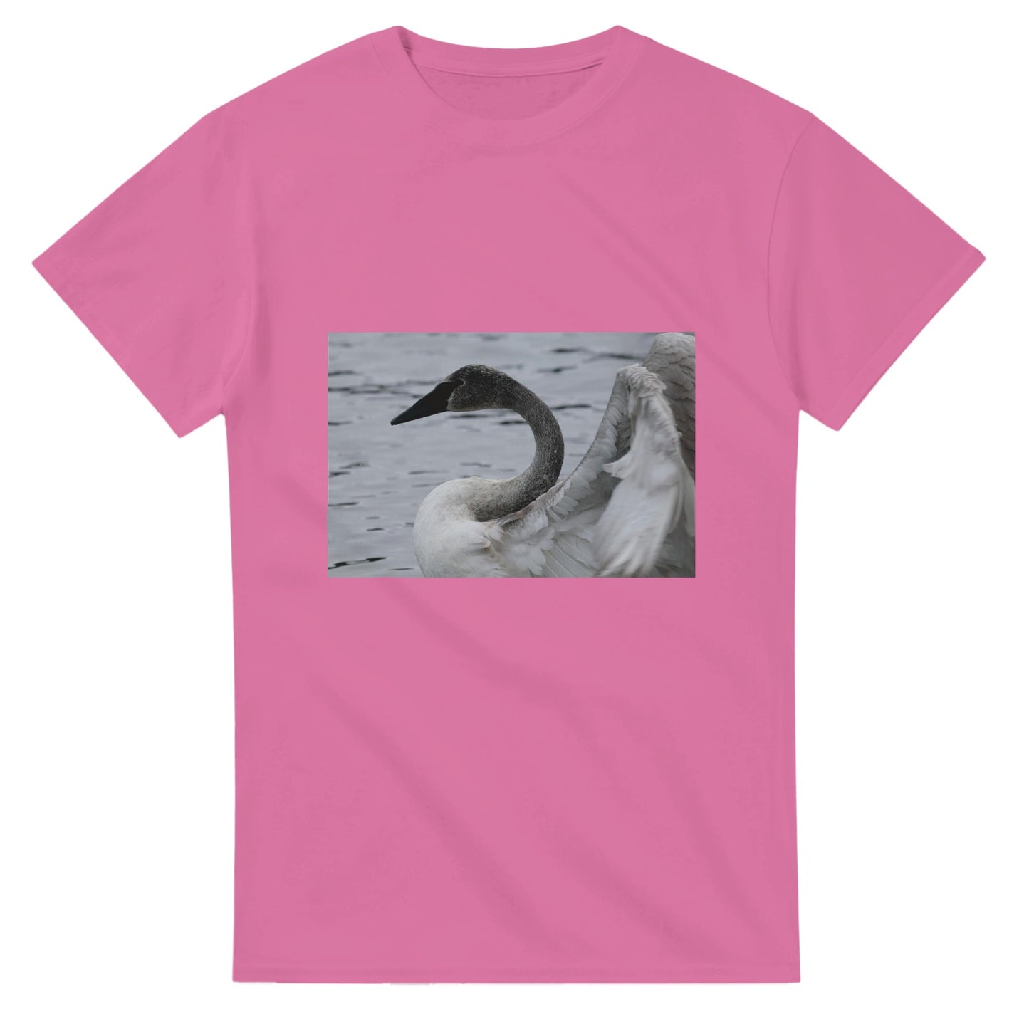 64aa38be-a44b-43dc-a49f-37e1370ea279