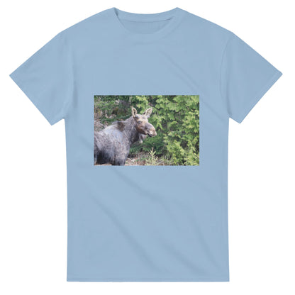 64b754ed-96cd-4ce2-978c-b2997c0f85ad