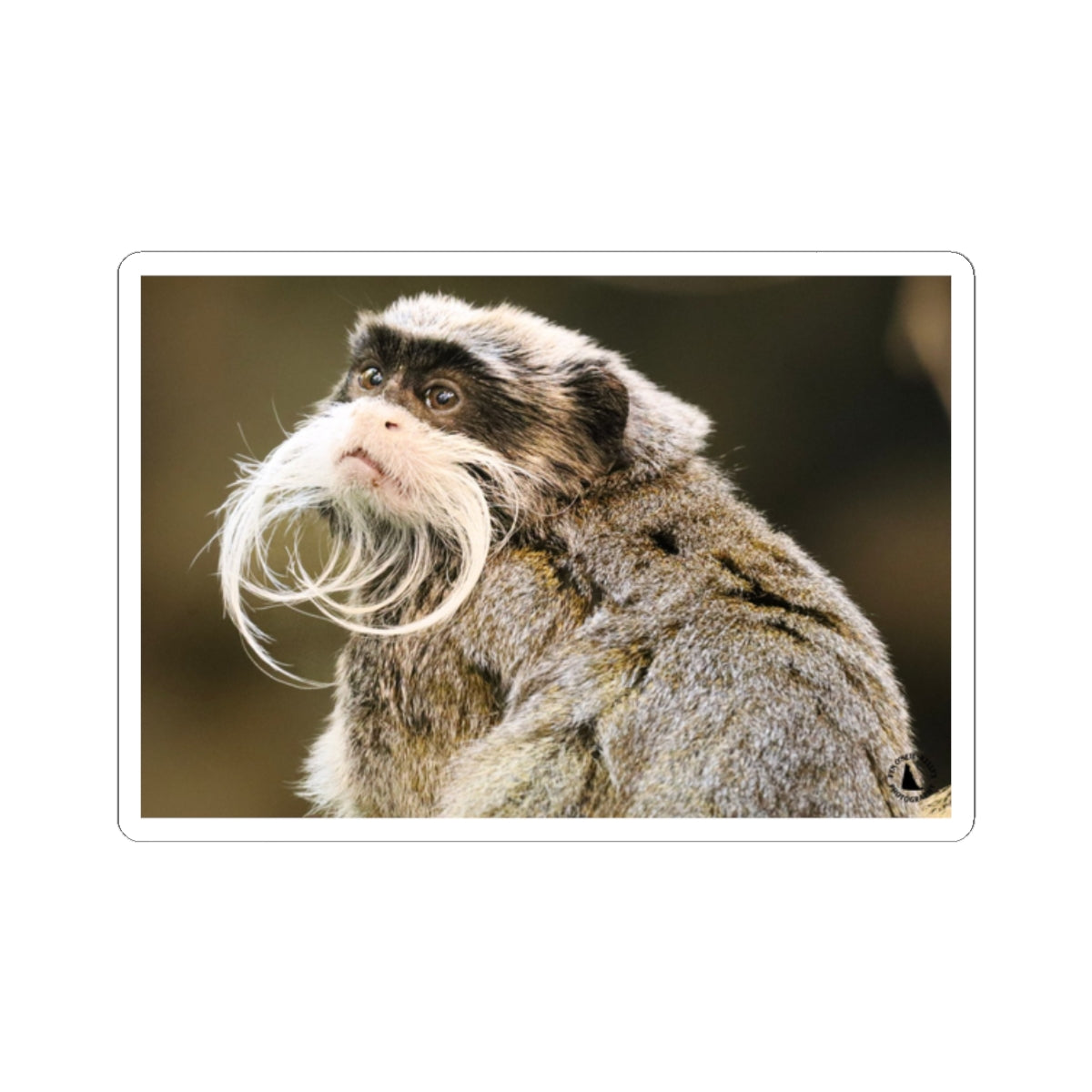 Emperor Tamarin Sticker — Cute Mustache Monkey Kiss-Cut Vinyl Sticker for Laptops & Water Bottles