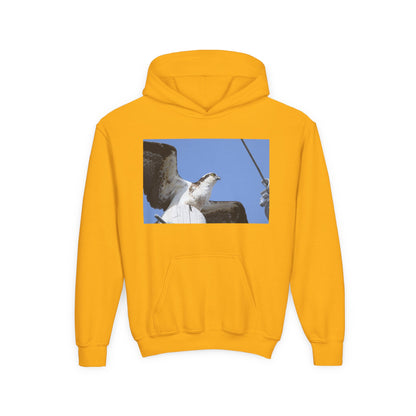 Youth Osprey Photo Hoodie — Kids Birdwatching Nature Pullover