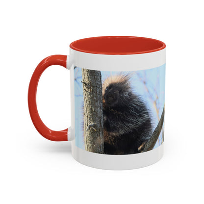 Porcupine Photo Accent Coffee Mug — Wildlife Nature Lover Gift (11/15oz)