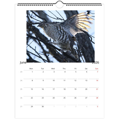 6573d63f-6445-4487-8499-3e90bb967405