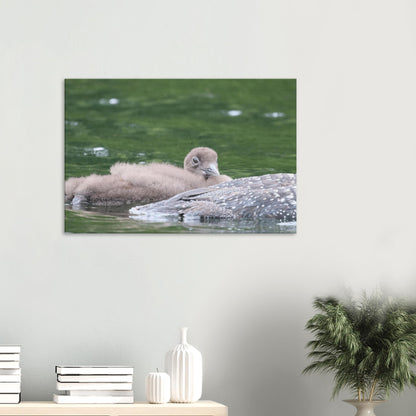 6595ce38-b1f8-46a1-87f7-9cea86cb7979