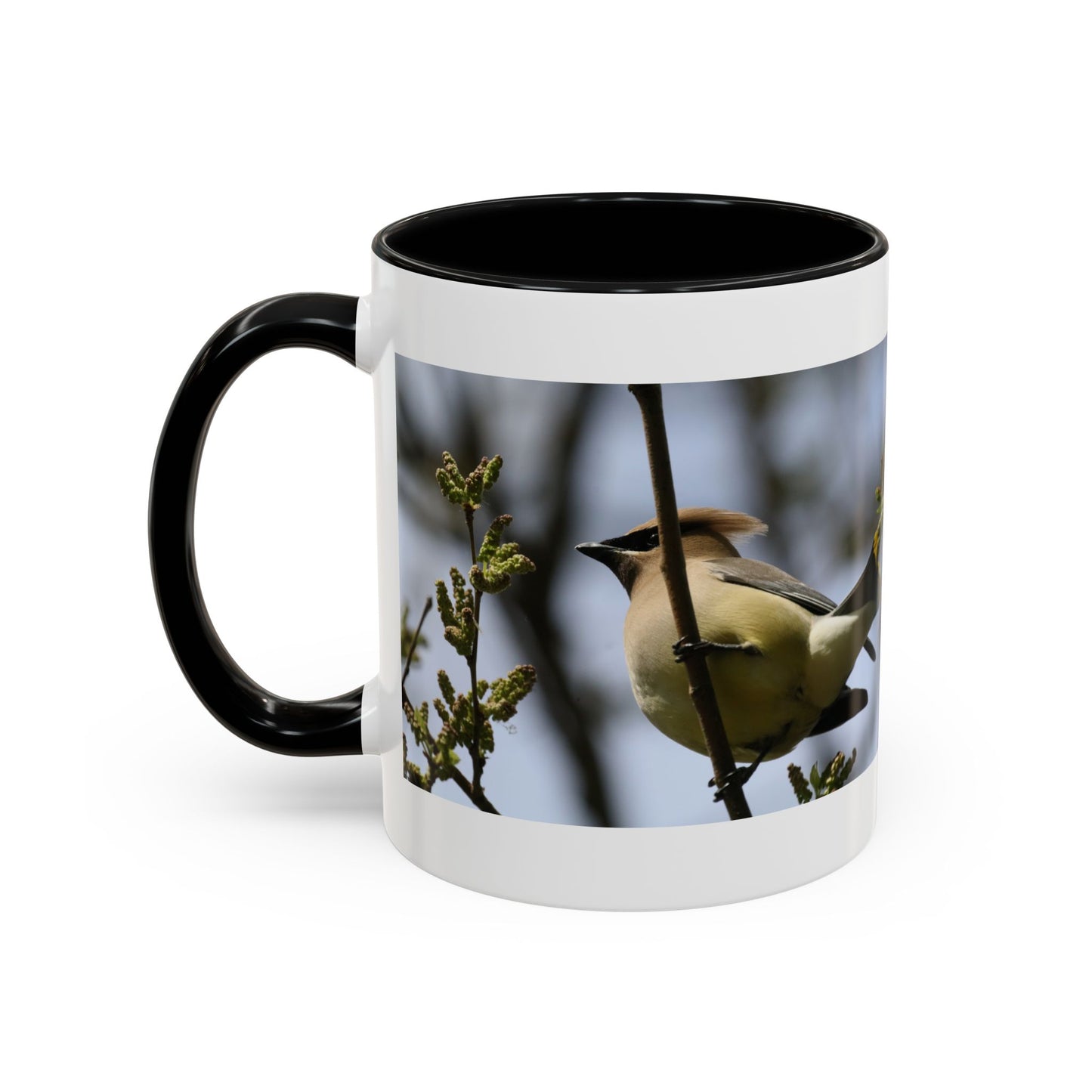 Cedar Waxwing Bird Photo Accent Coffee Mug