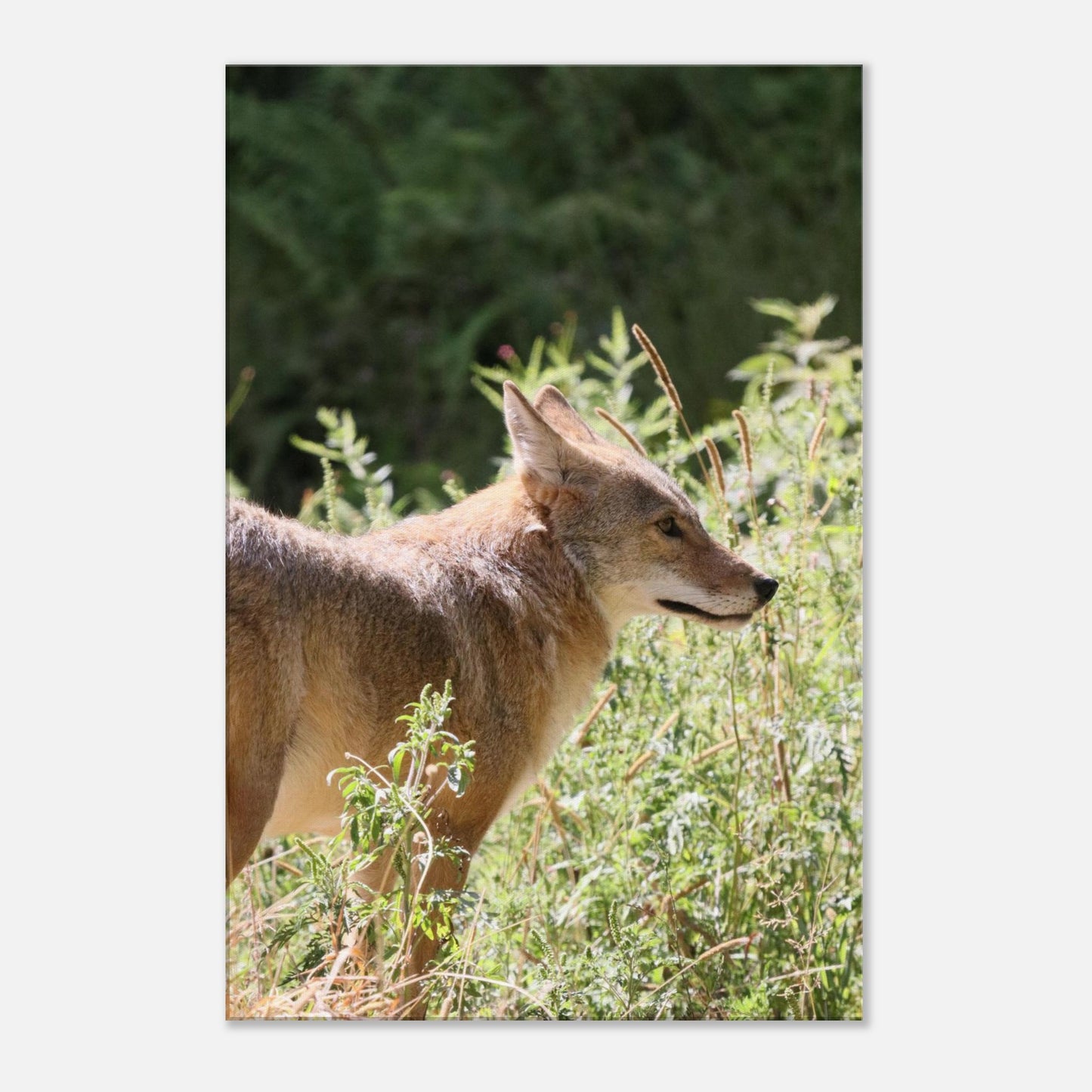 66d9d868-dec7-4337-97ce-c3a8e6a06615