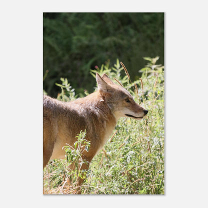 66d9d868-dec7-4337-97ce-c3a8e6a06615