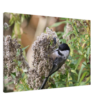 6700037e-f3f3-4b65-9721-0511a0fa333b
