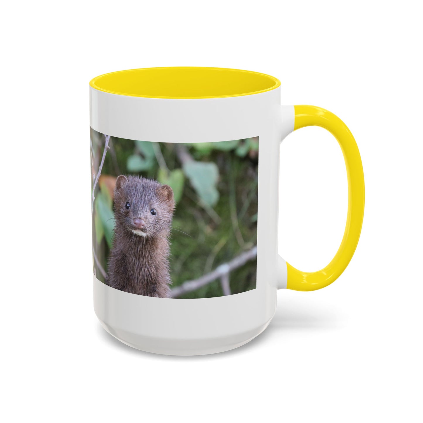 Cute Mink Photo Accent Mug – Wildlife Photography Coffee Cup (11/15 oz)