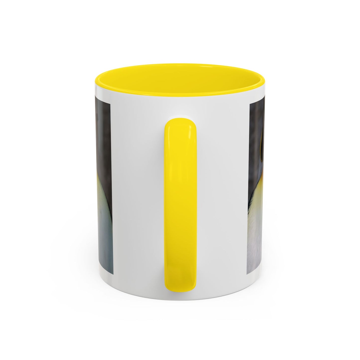 King Penguin Photo Coffee Mug — Cute Wildlife Accent Mug (11/15oz)