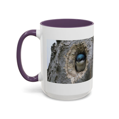 Bluebird in Tree Cavity Accent Coffee Mug — Nature Wildlife Ceramic Mug (11/15oz)