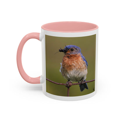 Bluebird Photo Coffee Mug — Eastern Bluebird with Insect Accent Mug (11/15 oz)
