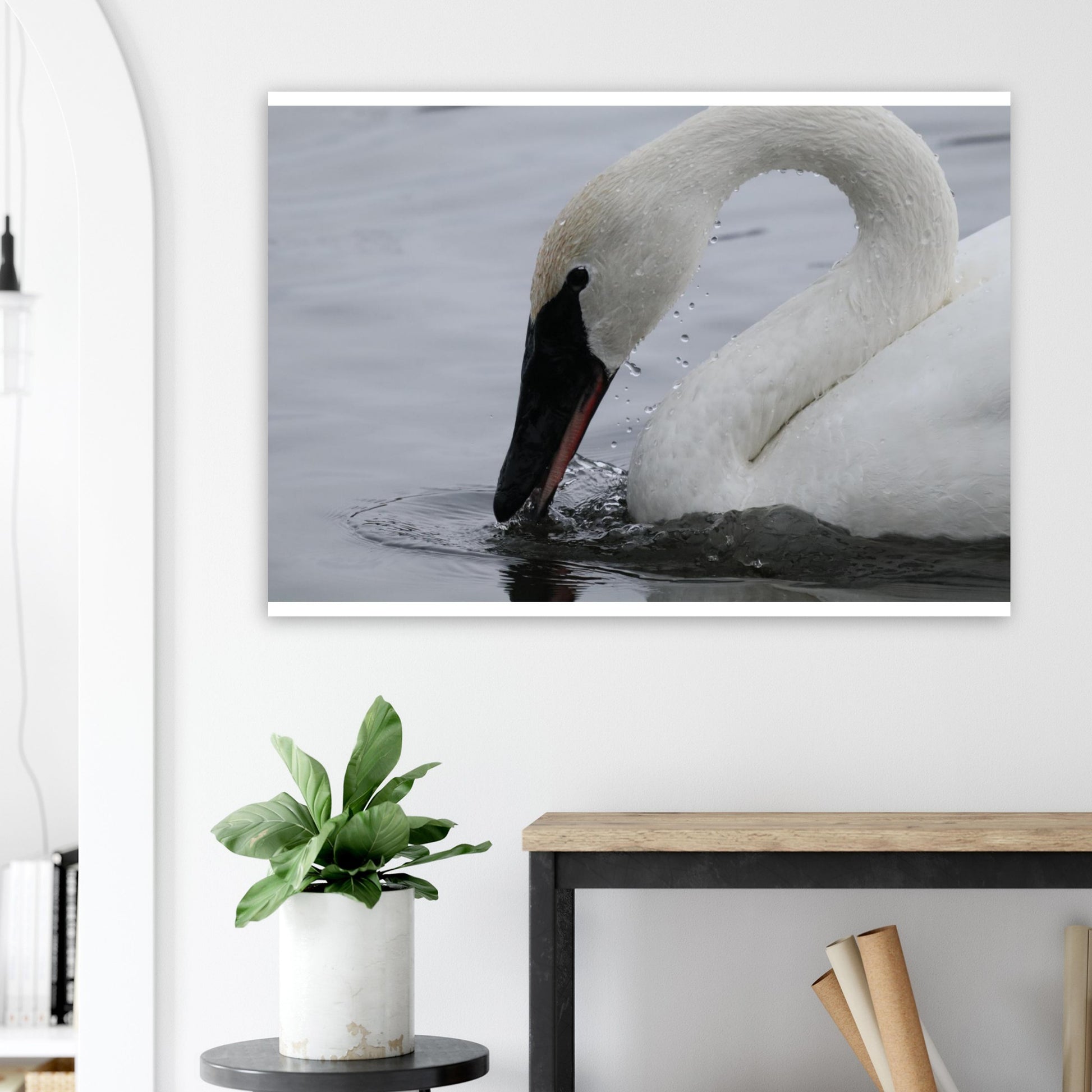 6724b0af-ac94-4d8c-8e80-c9ecca733a60